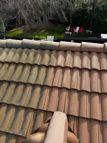 Shingle Roof Cleaning