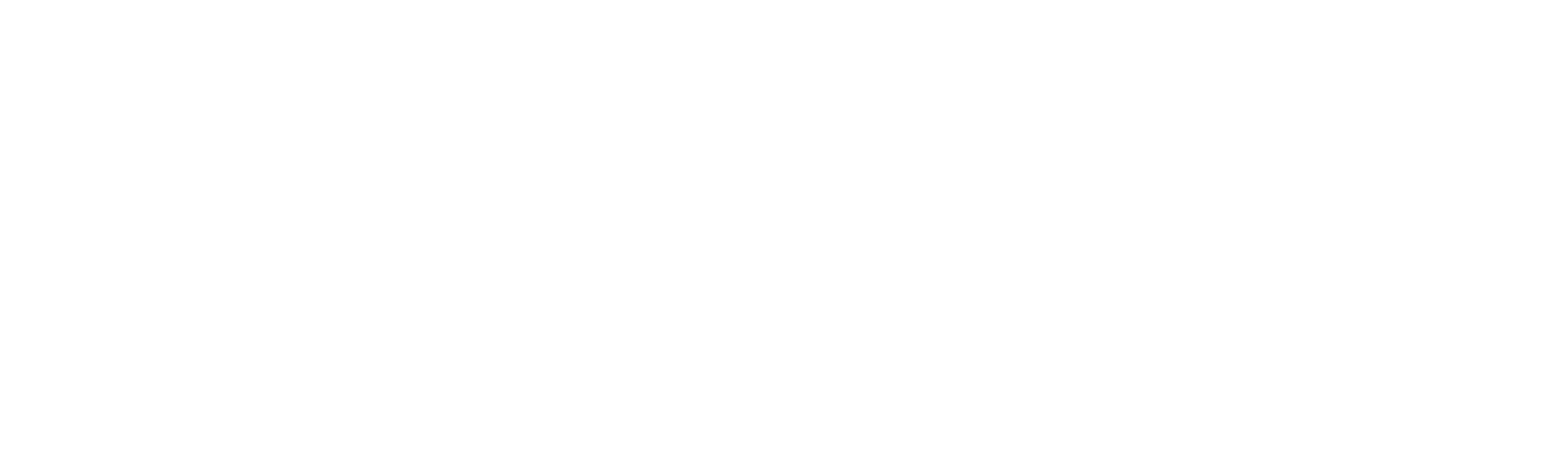 Vident Productions
