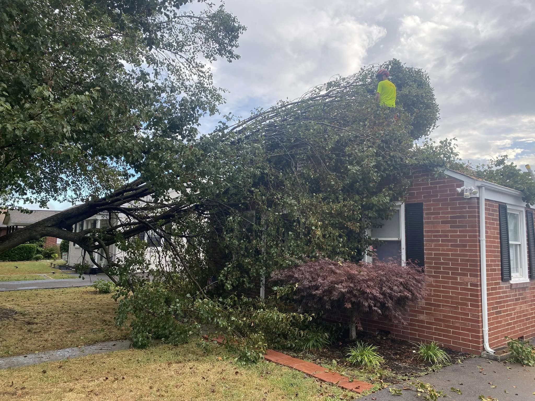 Emergency tree service to get a fallen tree off a house
