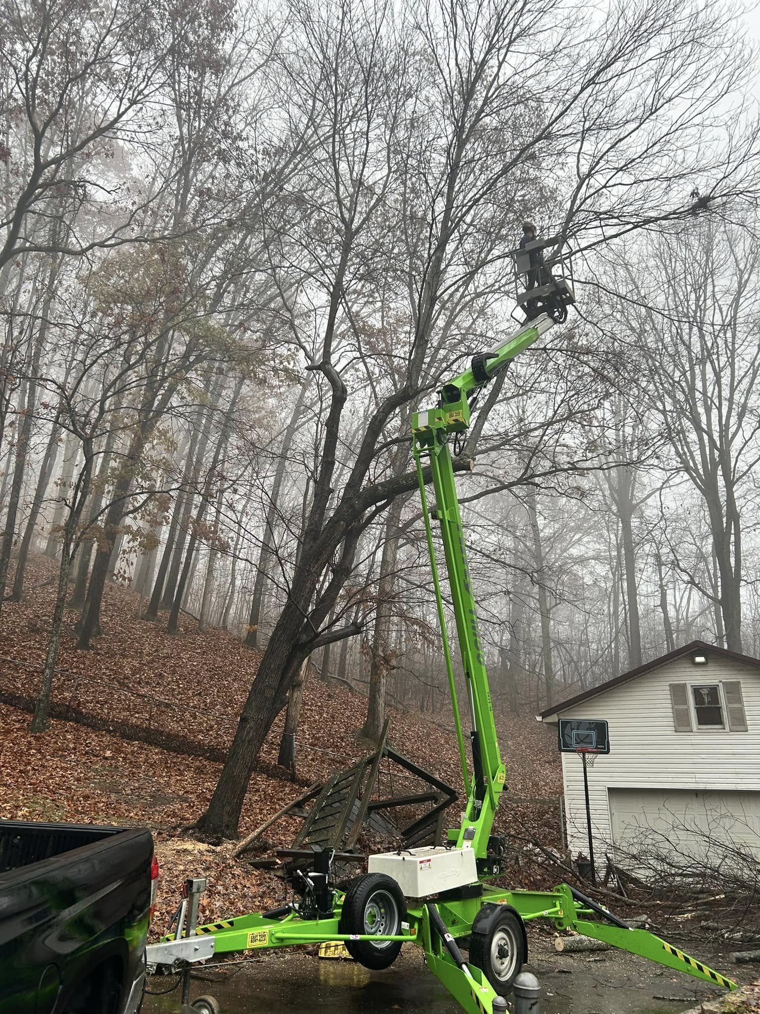 Tree machinery in use