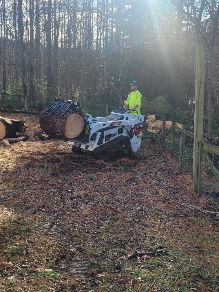 Tree machinery in use