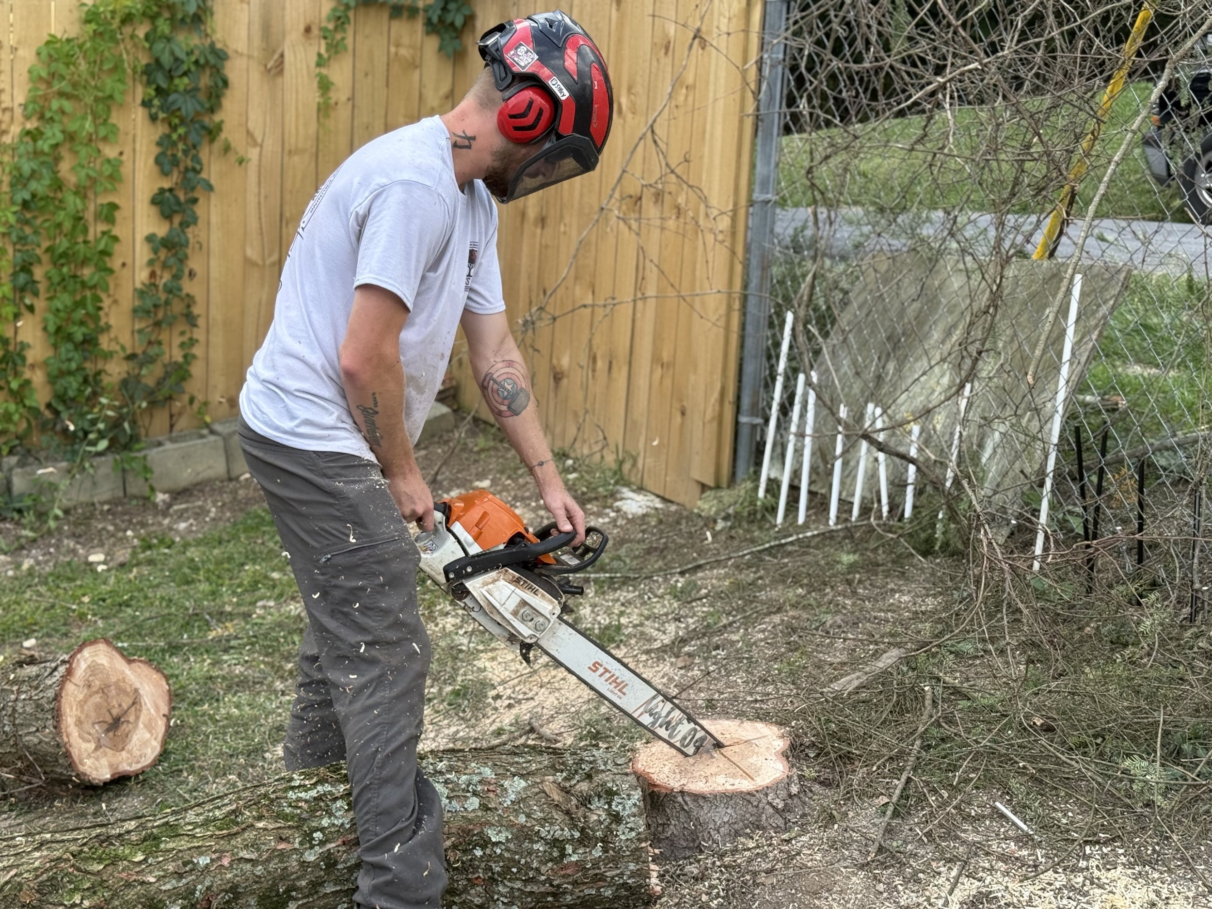 Crosscut Tree Services in action