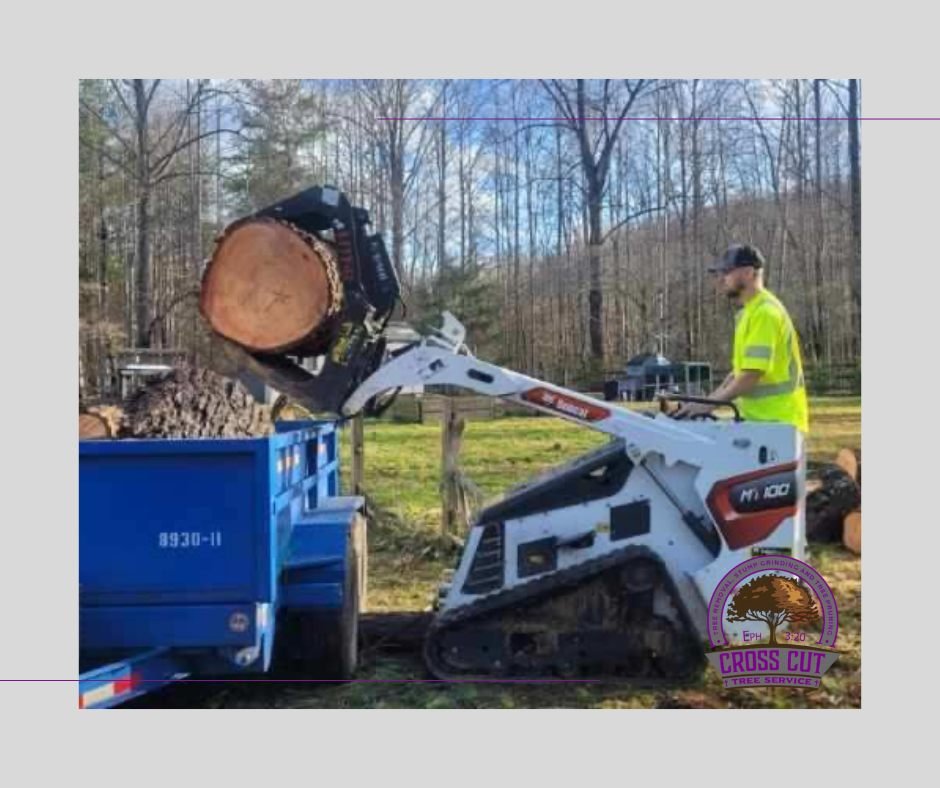 Skid steer in use while cleaning up a tree removal