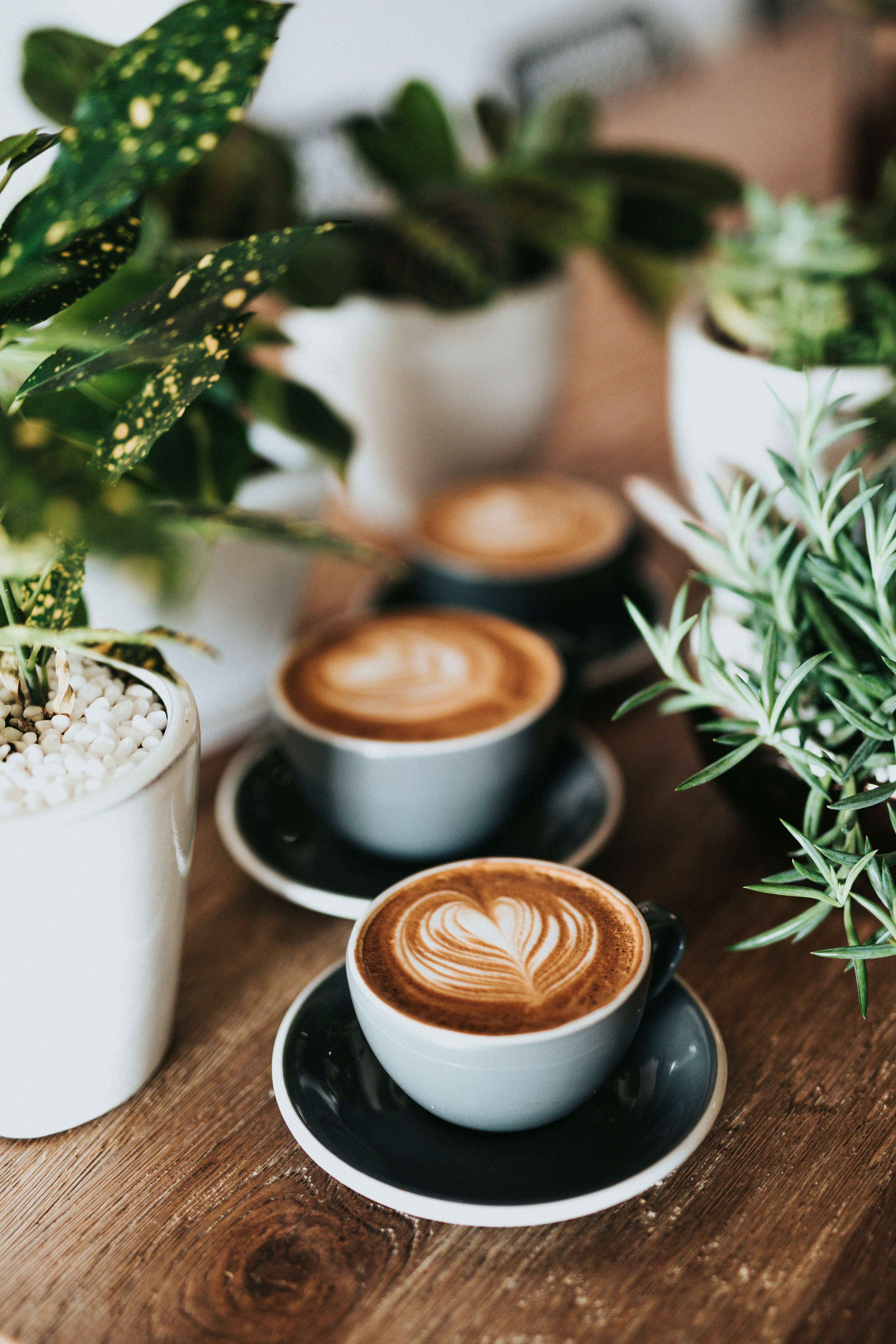 Main Street Coffee