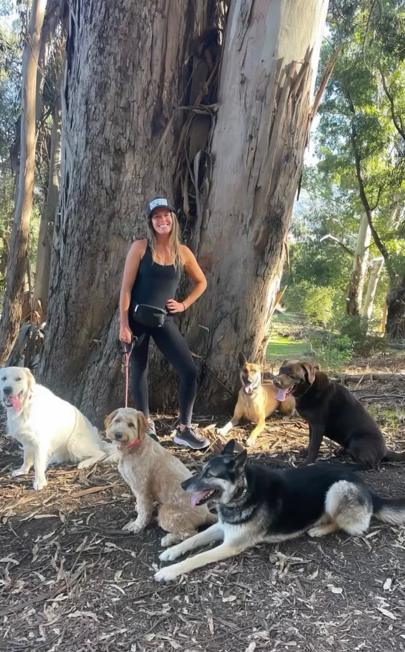 Shady breaks under the big trees