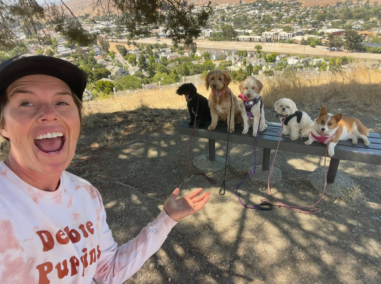 Neighborhood pack walks
