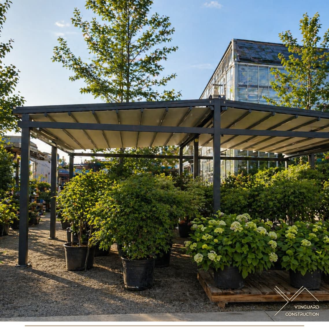 Pergola 12