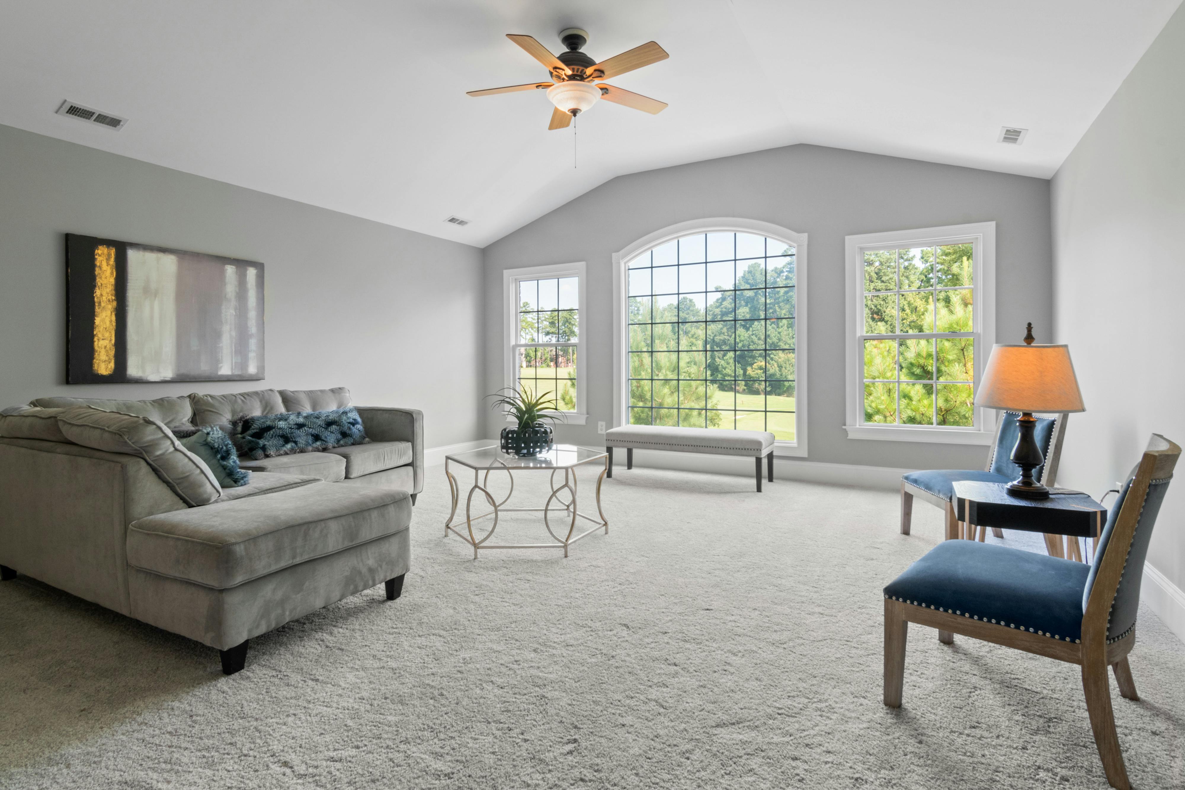 Clean Living Room Carpet