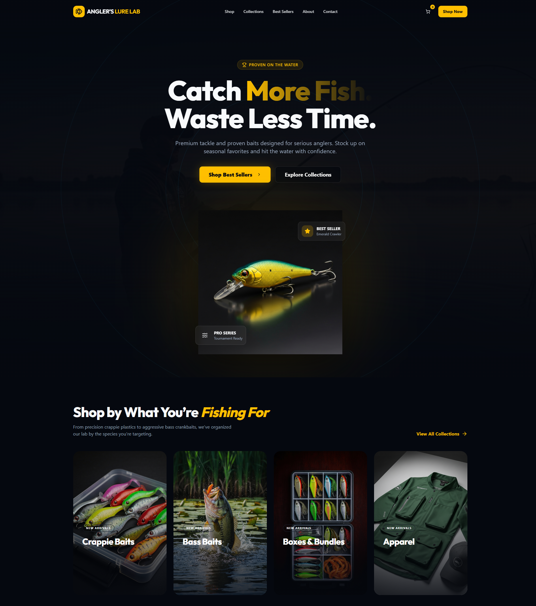 Portfolio Example 3