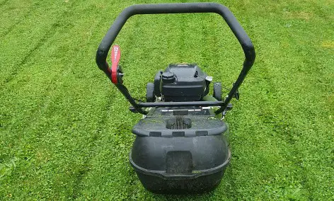 Lawn Mowing