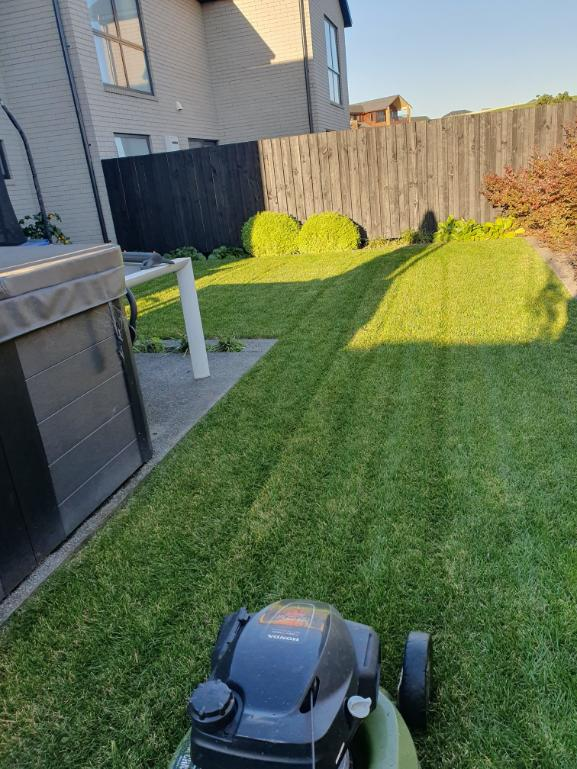 Backyard lawn with perfect mowing stripes