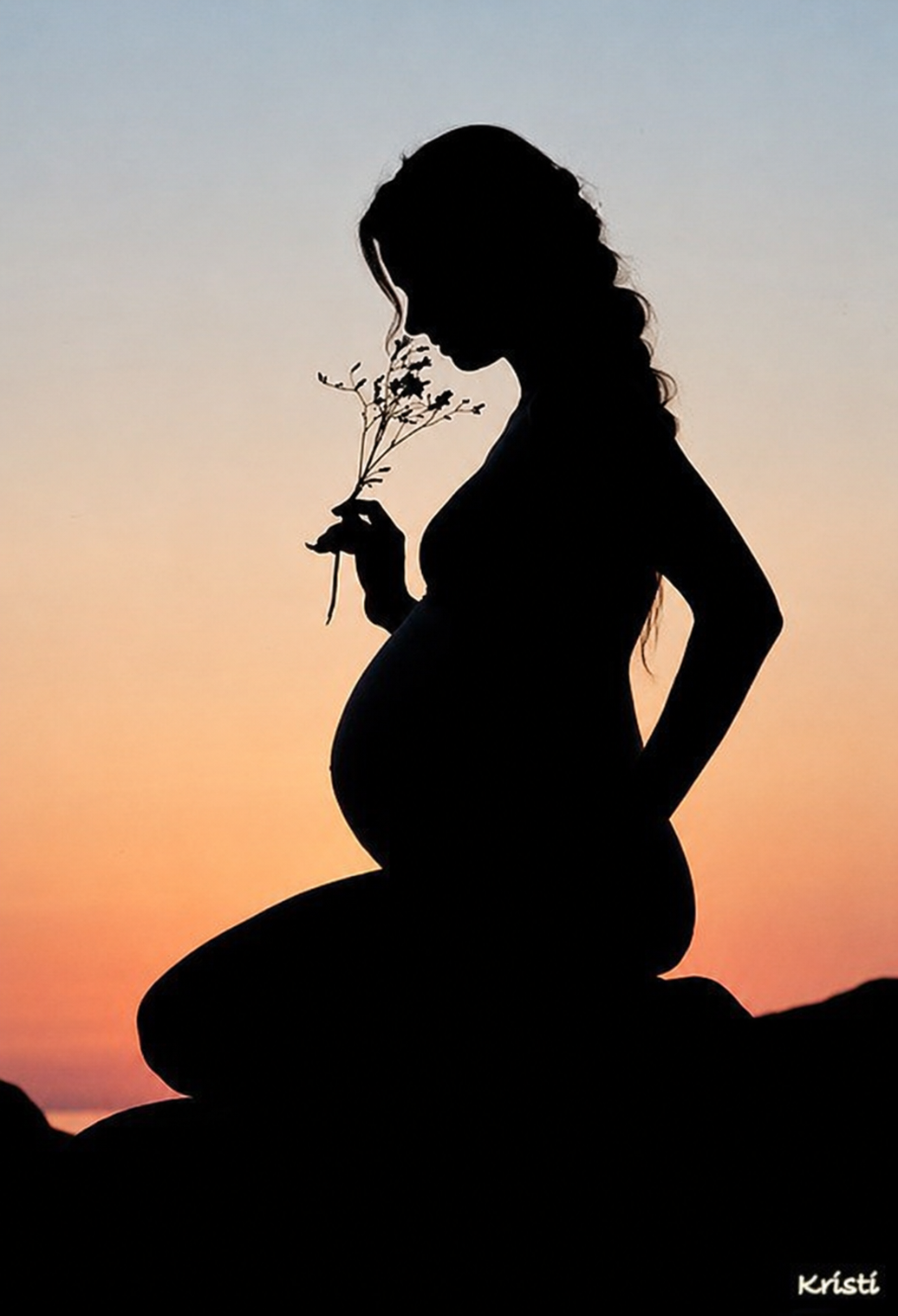 Silhouet van een zwangere vrouw met los haar en lotusbloem