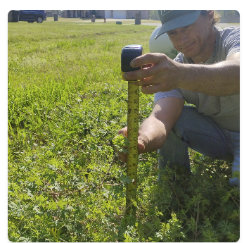Landscaper at work