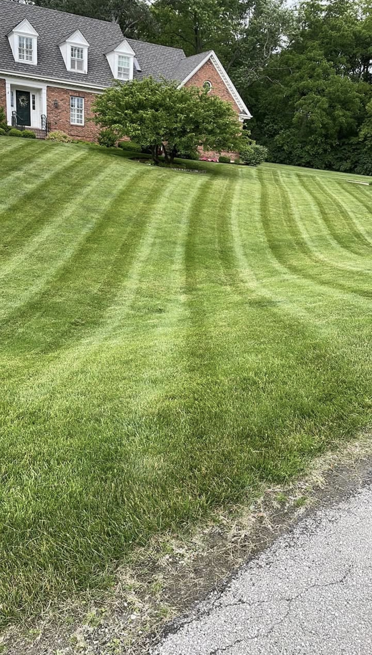 Professional lawn mowing service in Geneva IL