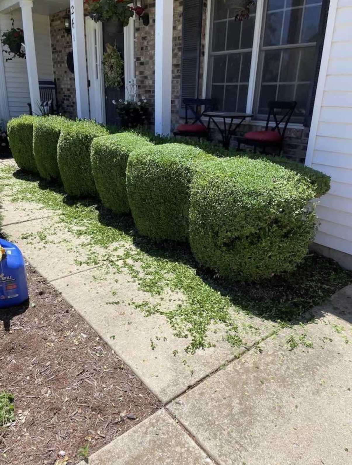 Expert shrub trimming service