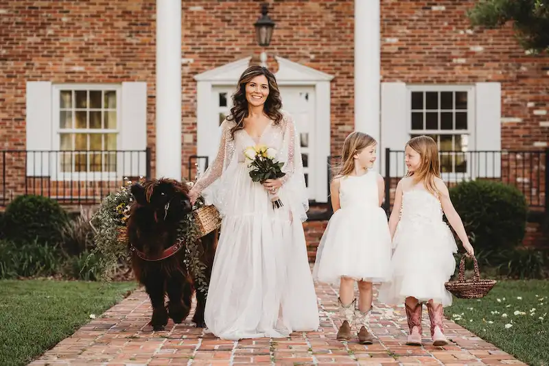 Bride and flower girls with Highland cow