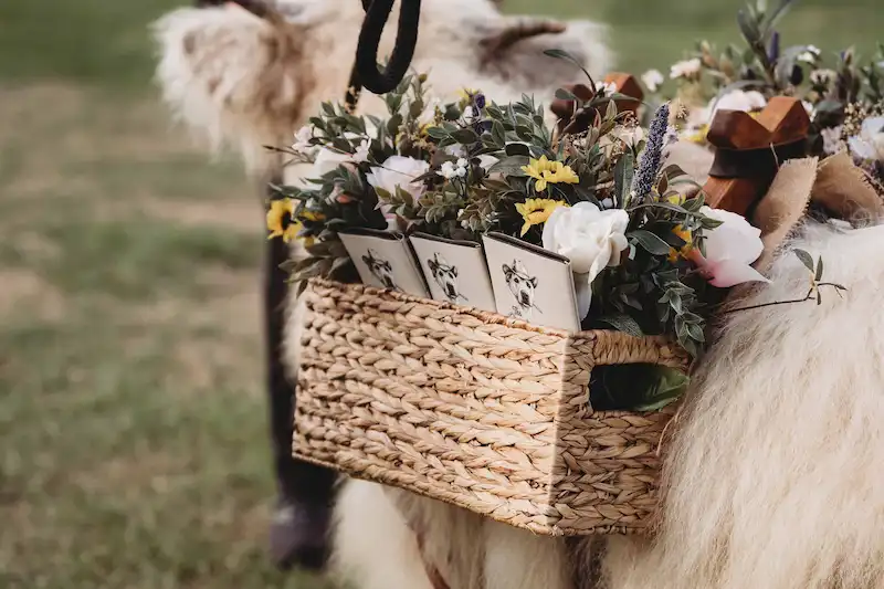 Highland cow with floral basket