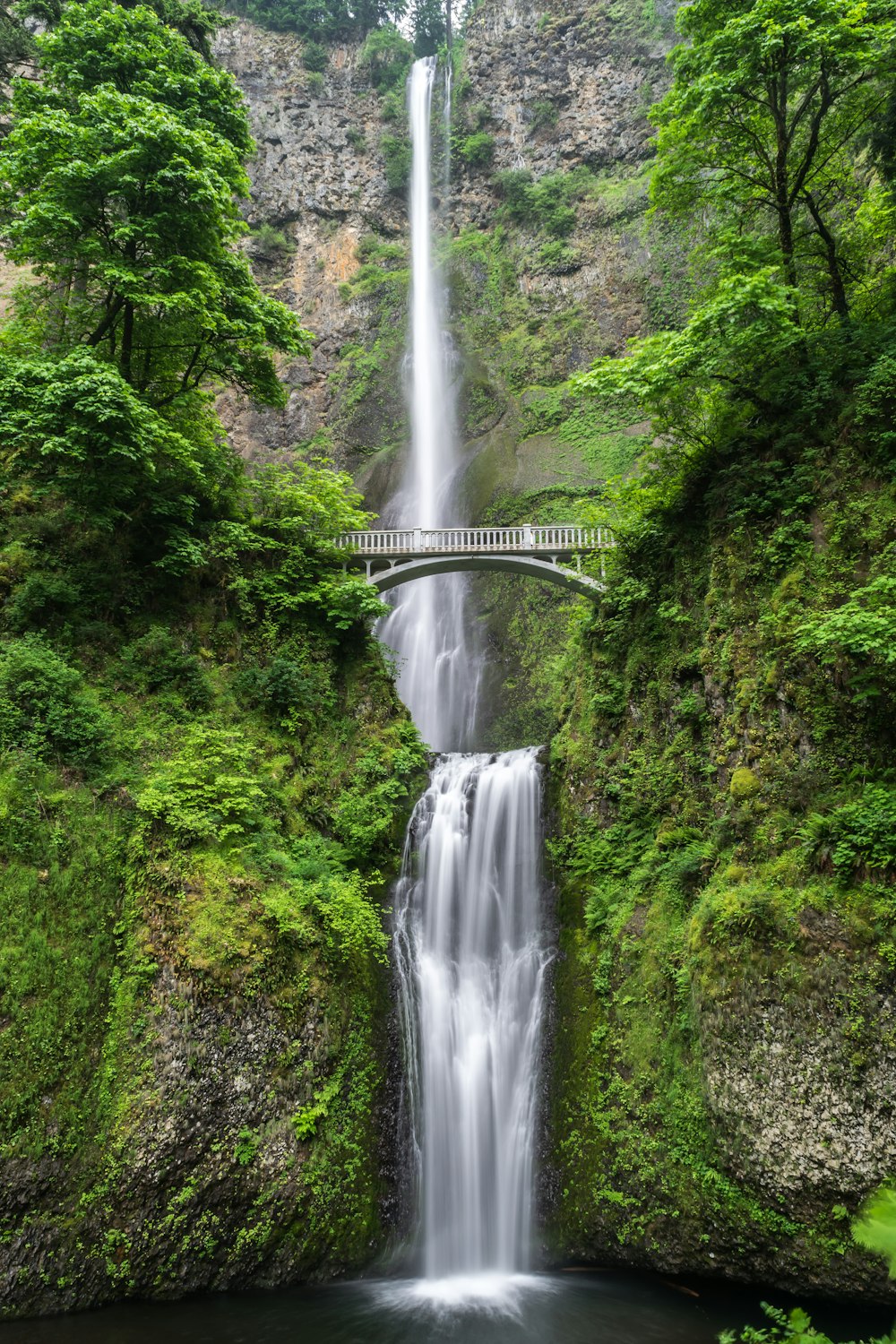 Natureza e Ecoturismo