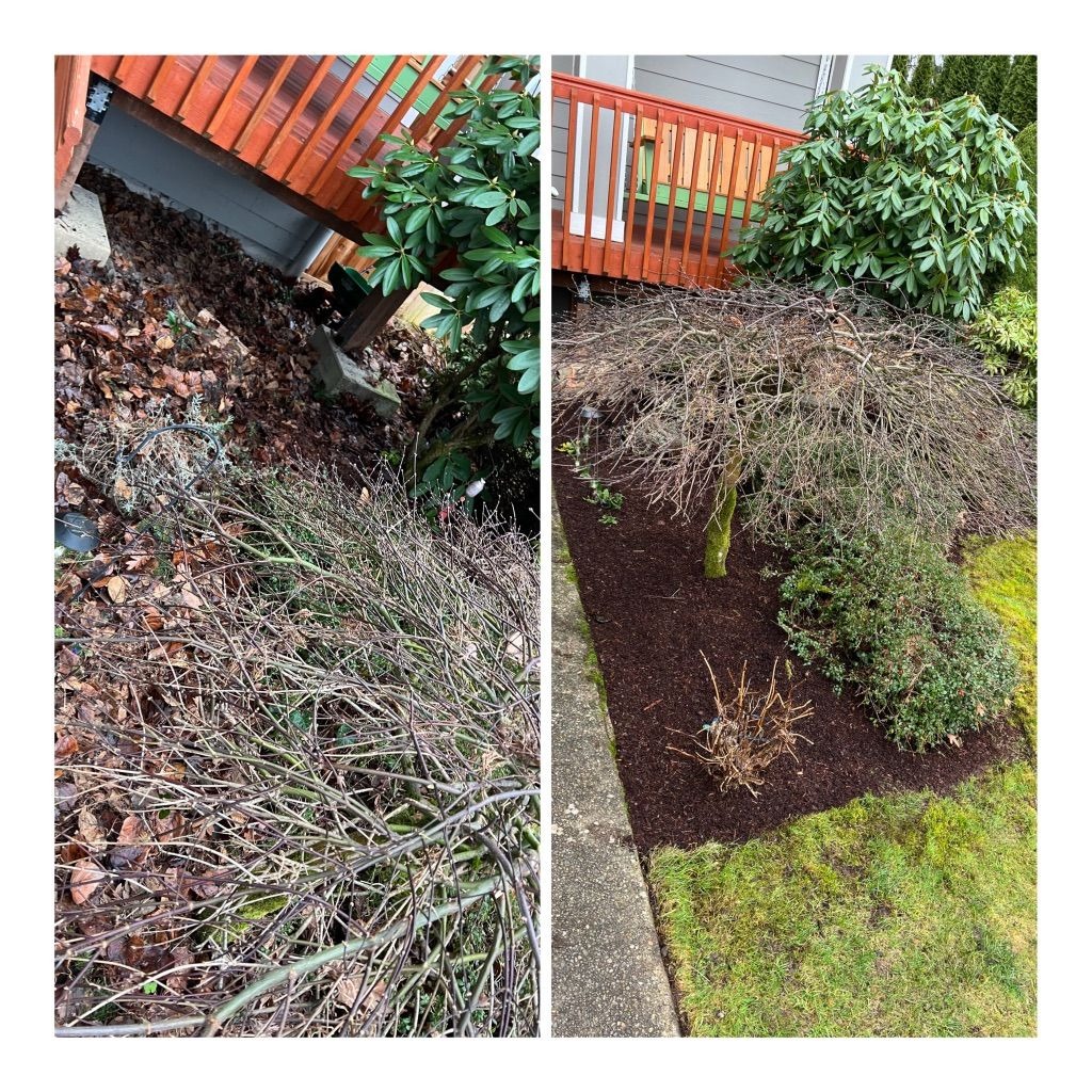 Mulching Service