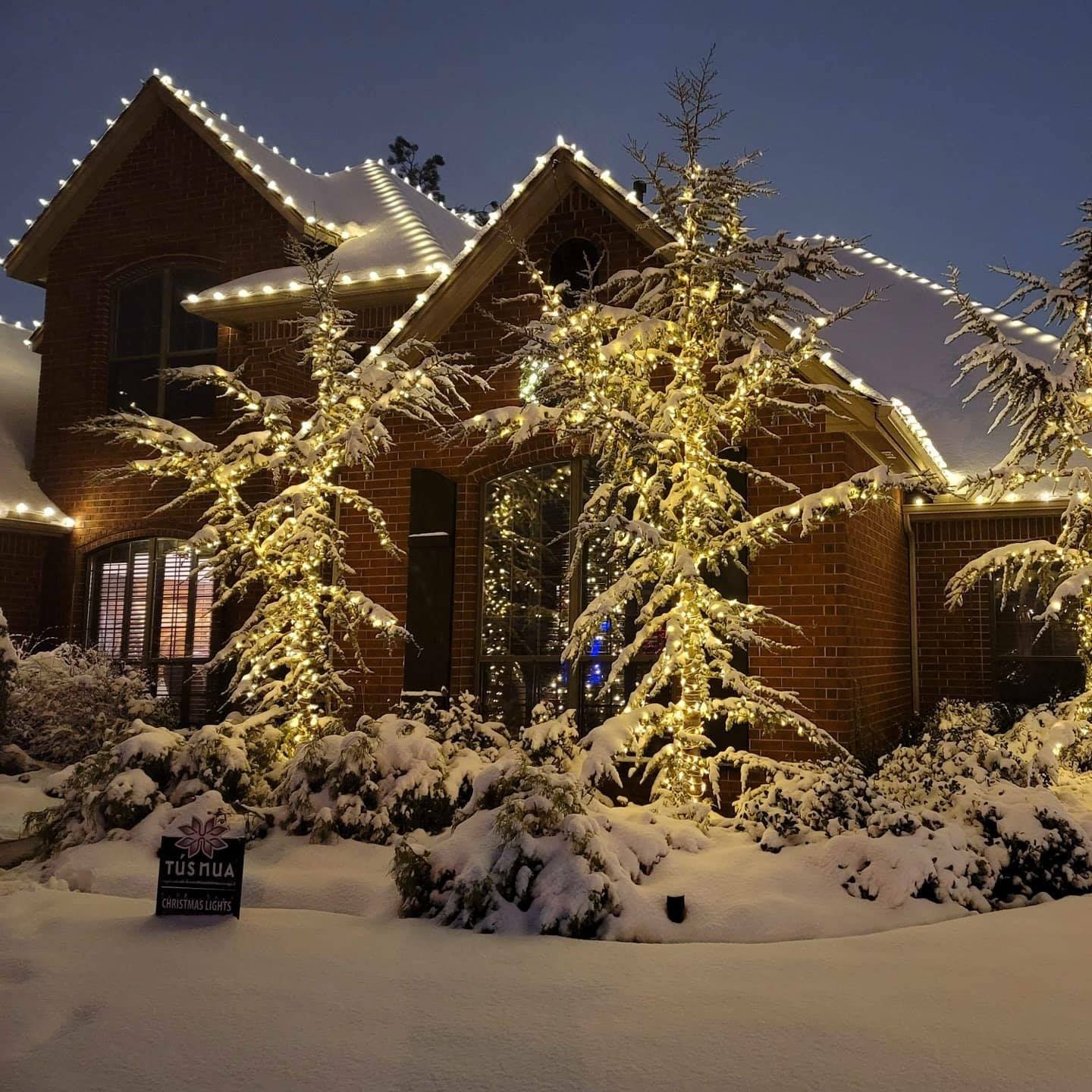Holiday Lighting