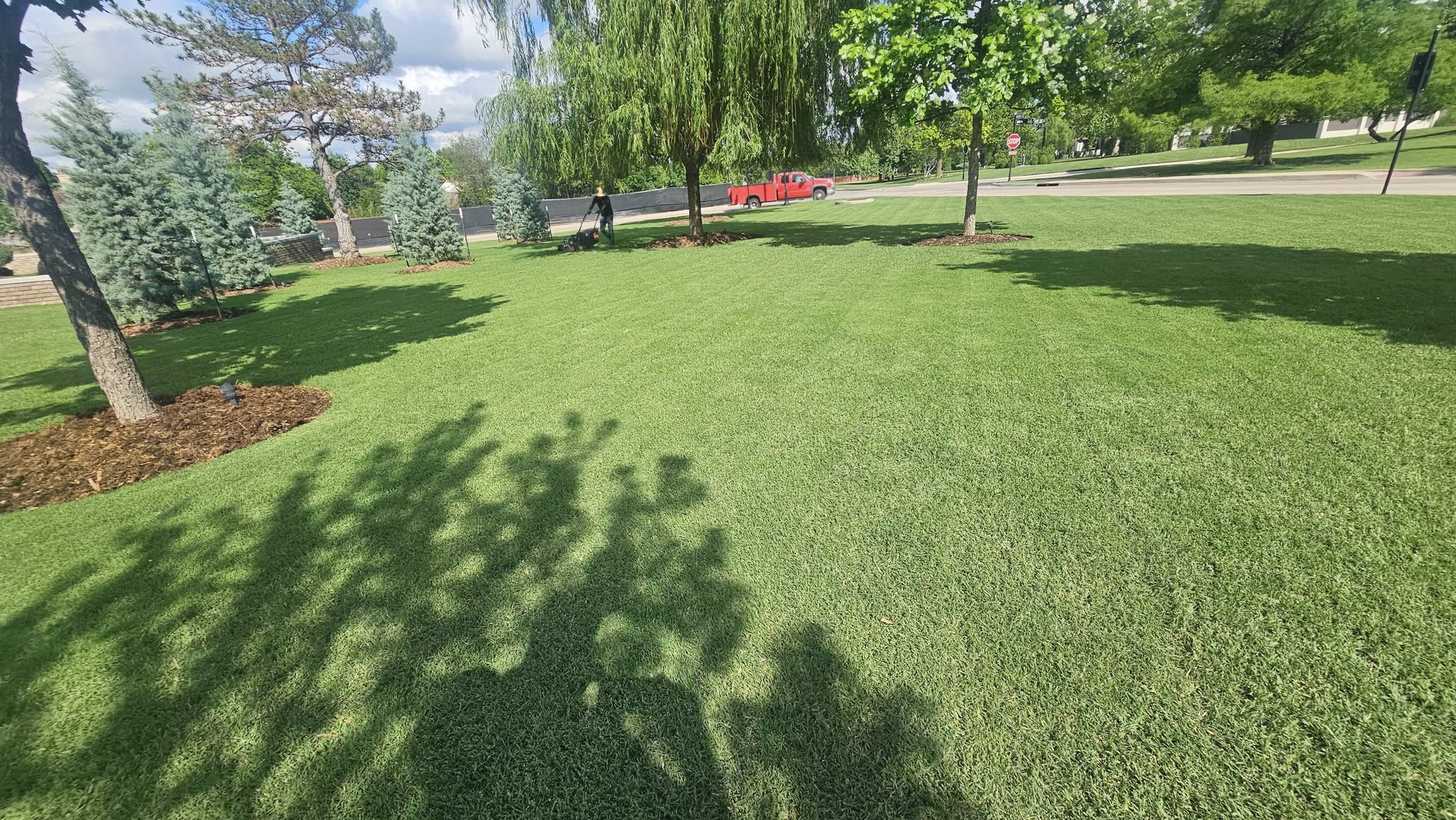 Recent Landscaping Work