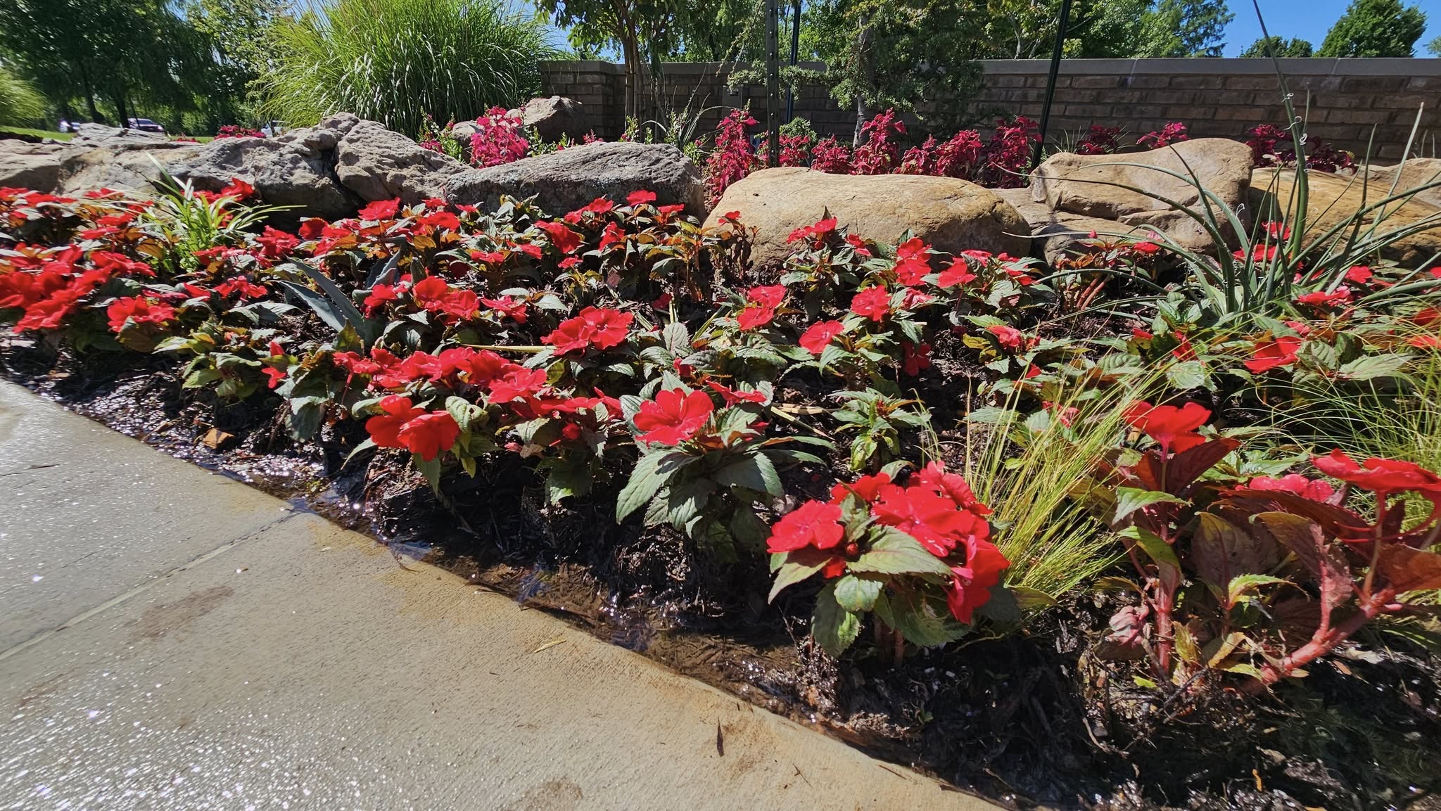 Flower Beds