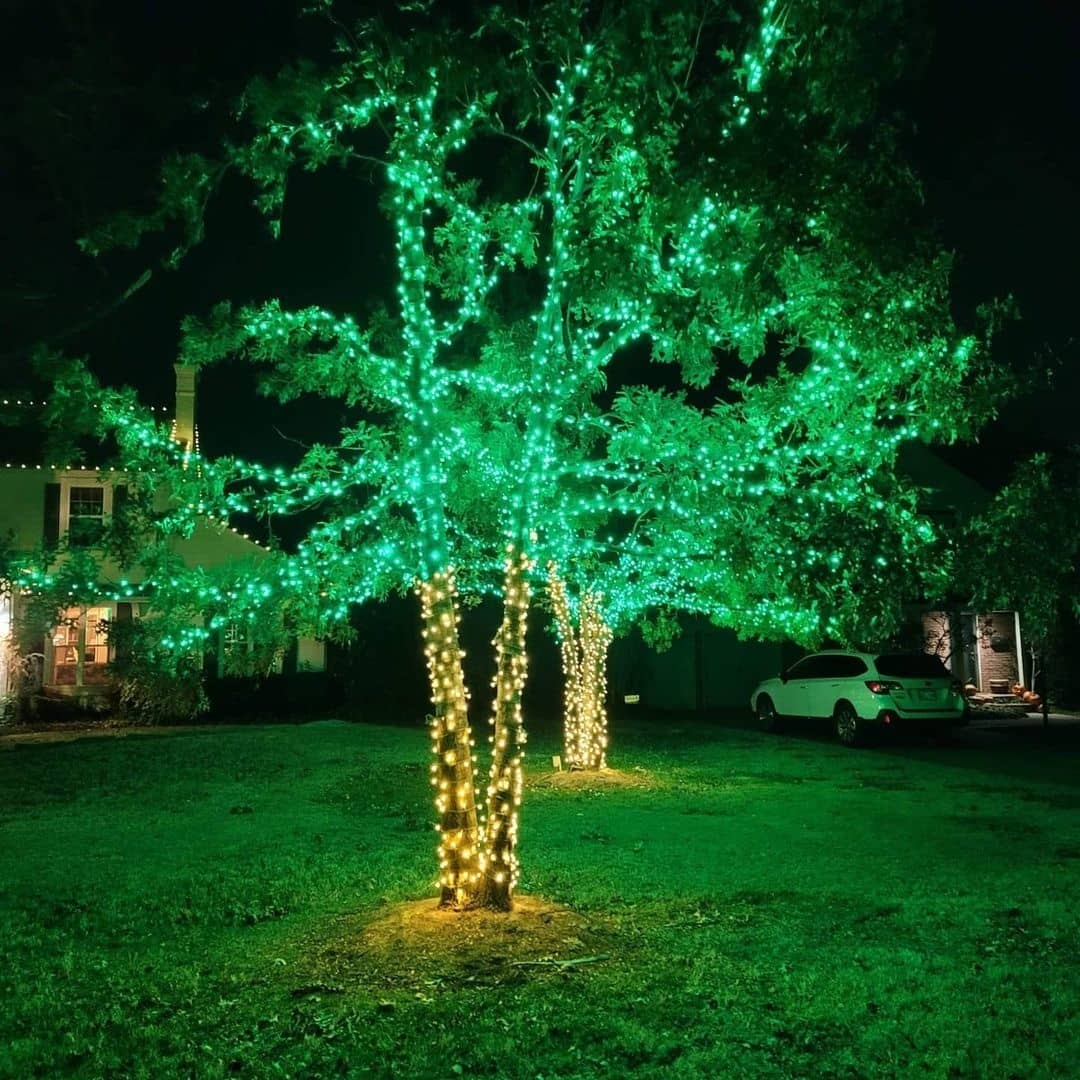 Holiday Lighting
