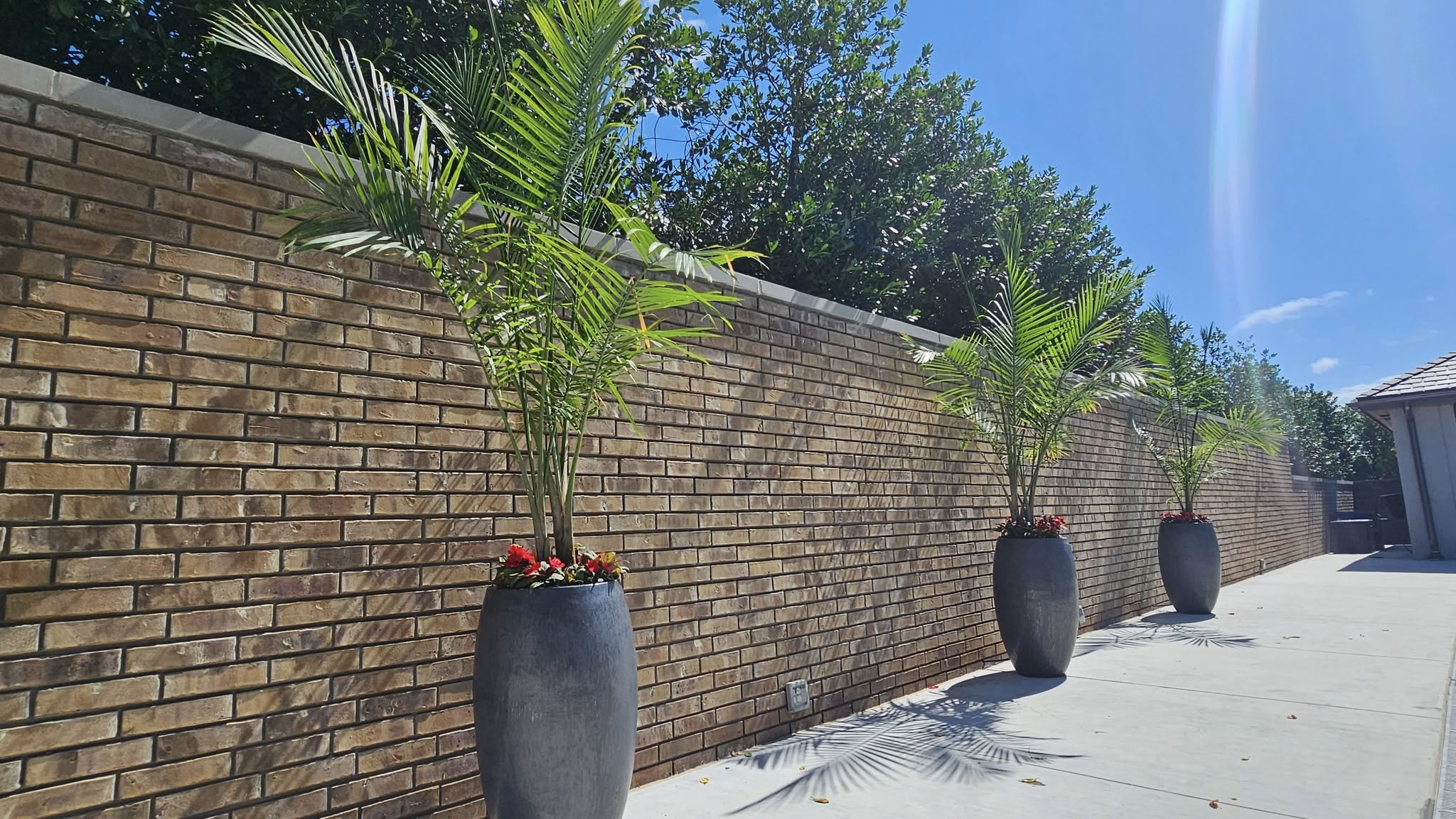 Recent Landscaping Work