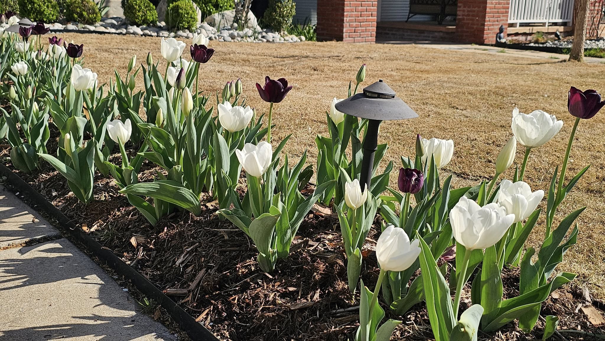 Flower Beds
