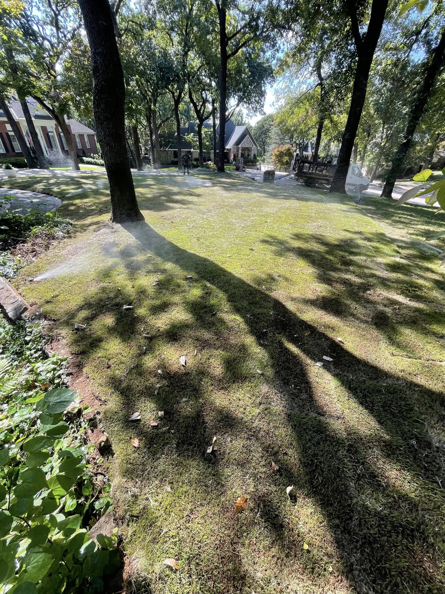 Recent Landscaping Work
