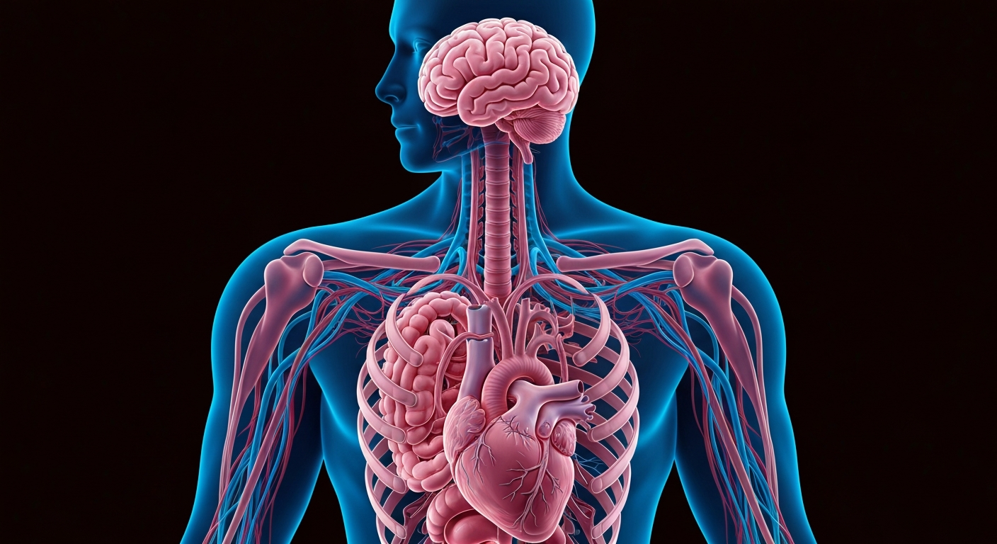 How Functional Medicine Helps Identify Root Causes