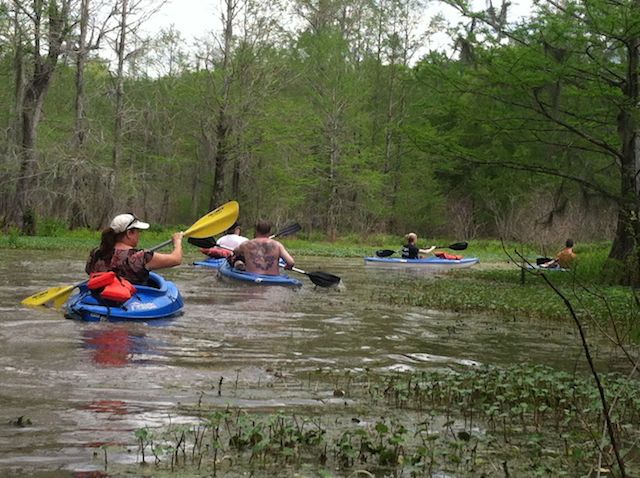 A group of people enjoying a self-guided kayak tour