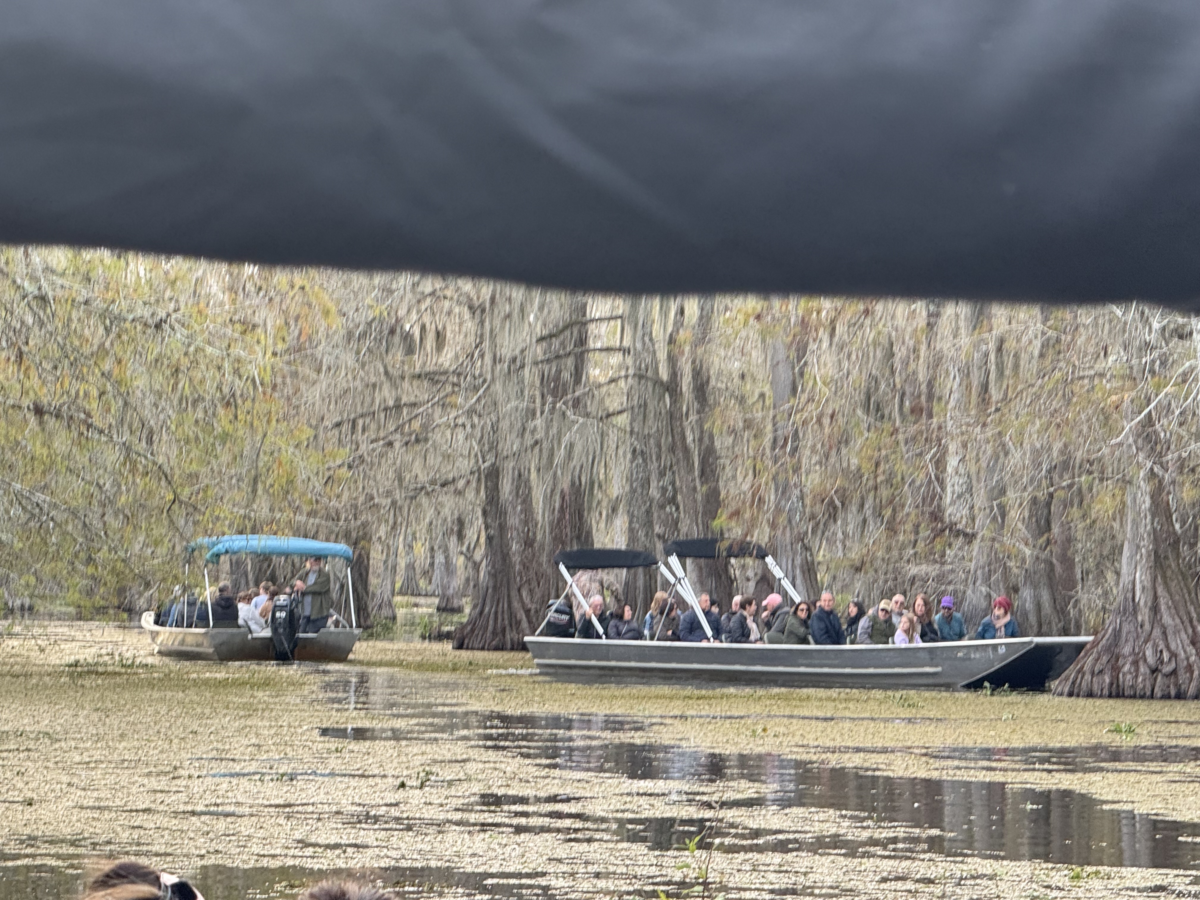 Large 26-passenger flat bottom cruiser boat on Lake Martin