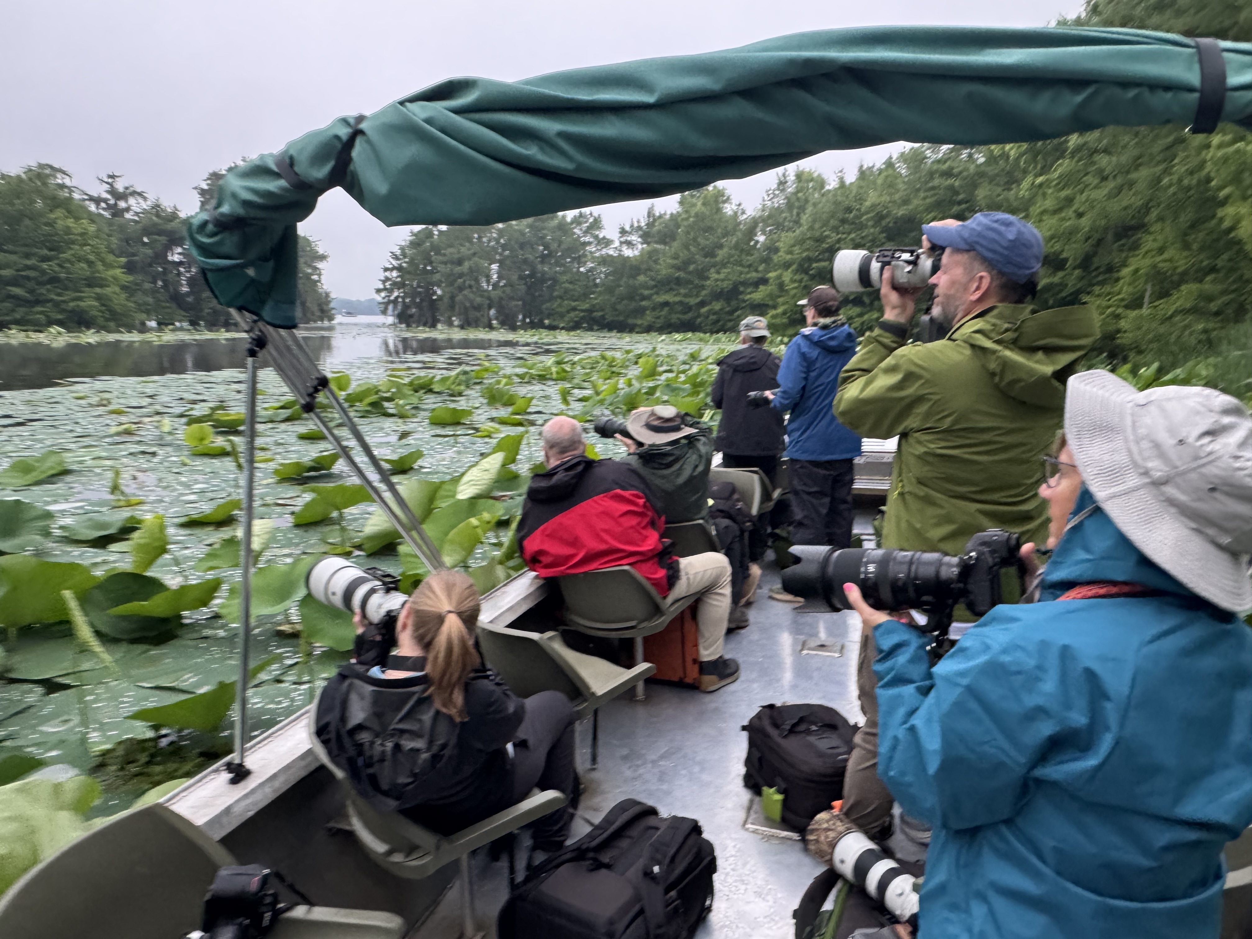 Taking photos of the Louisiana Swamp