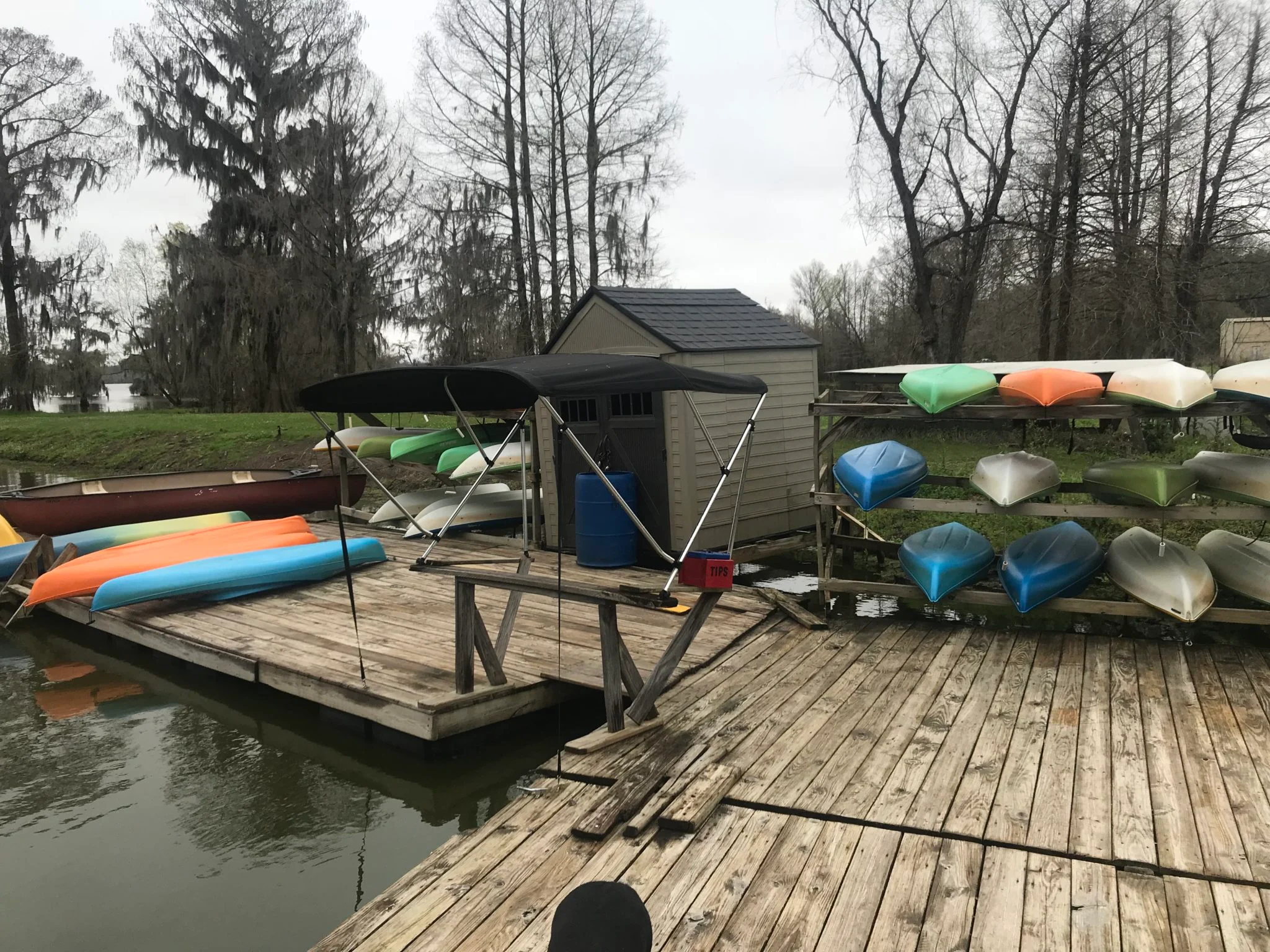 Kayak rentals available for exploring Lake Martin Louisiana