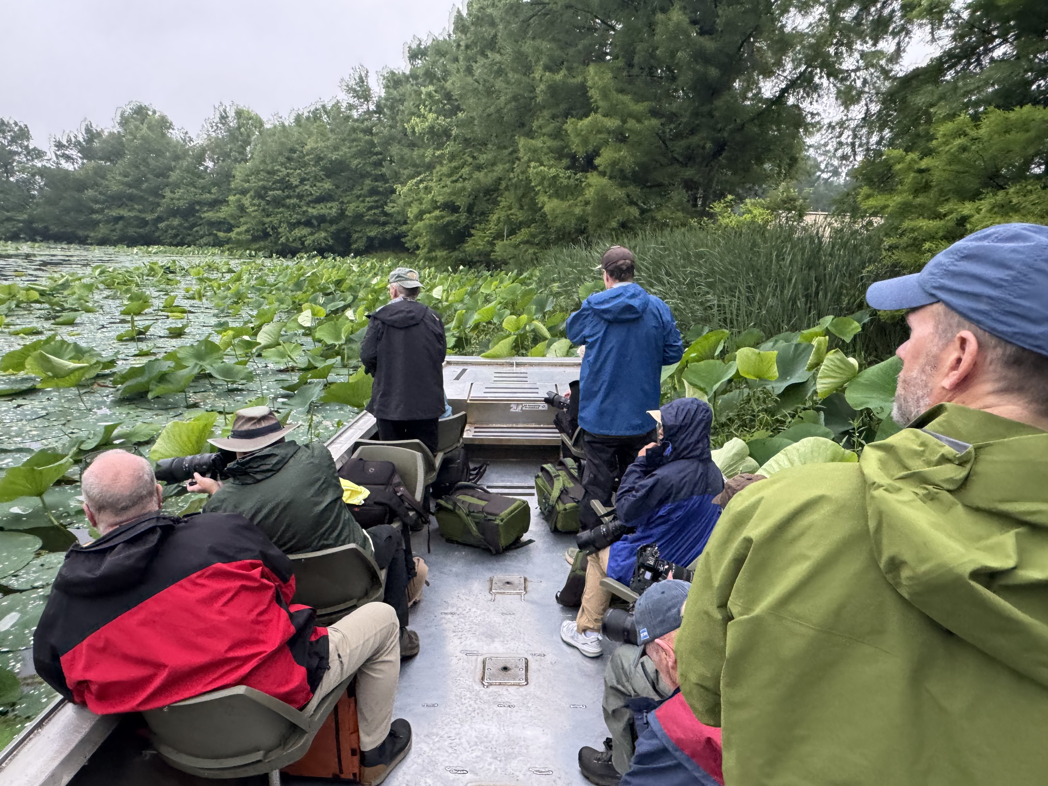 Photographers on Lake Martin Swamp Tour