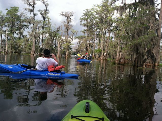 Paddling a kayak through the cypress trees on Lake Martin