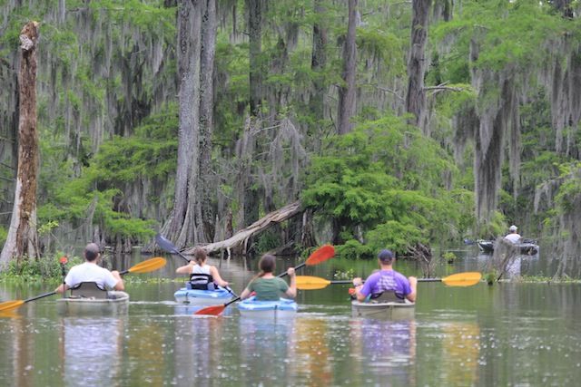 Traditional canoes lined up at the Champagne's dock