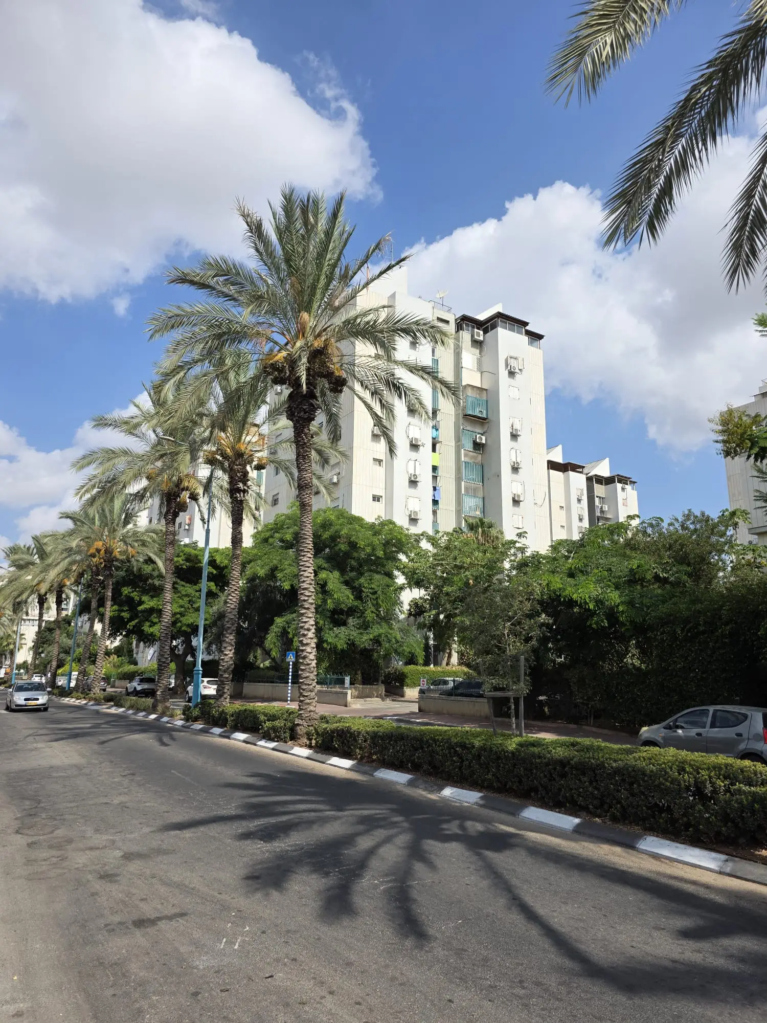 בניין מגורים גני אביב לוד תמונה 2