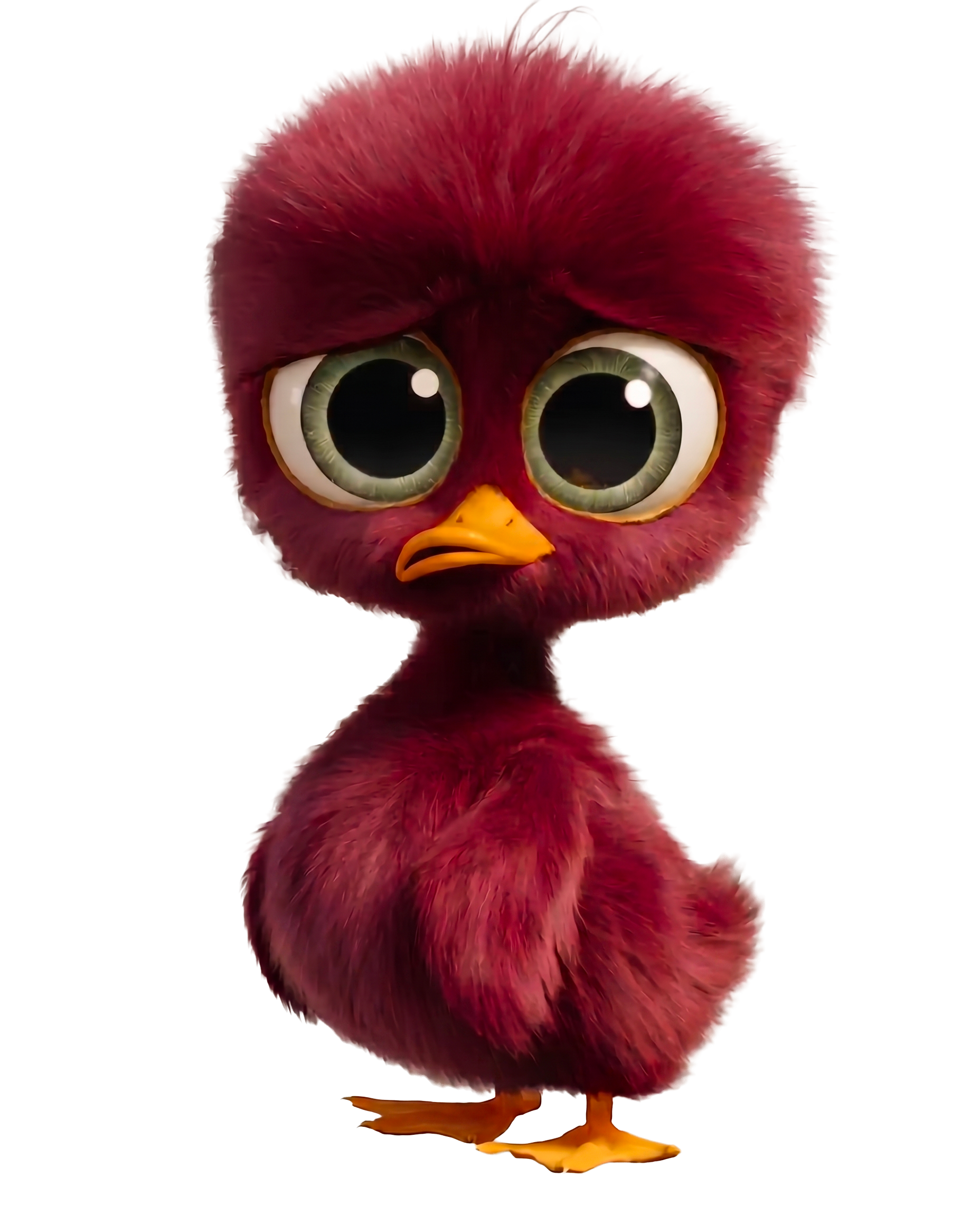 Property Management Bird