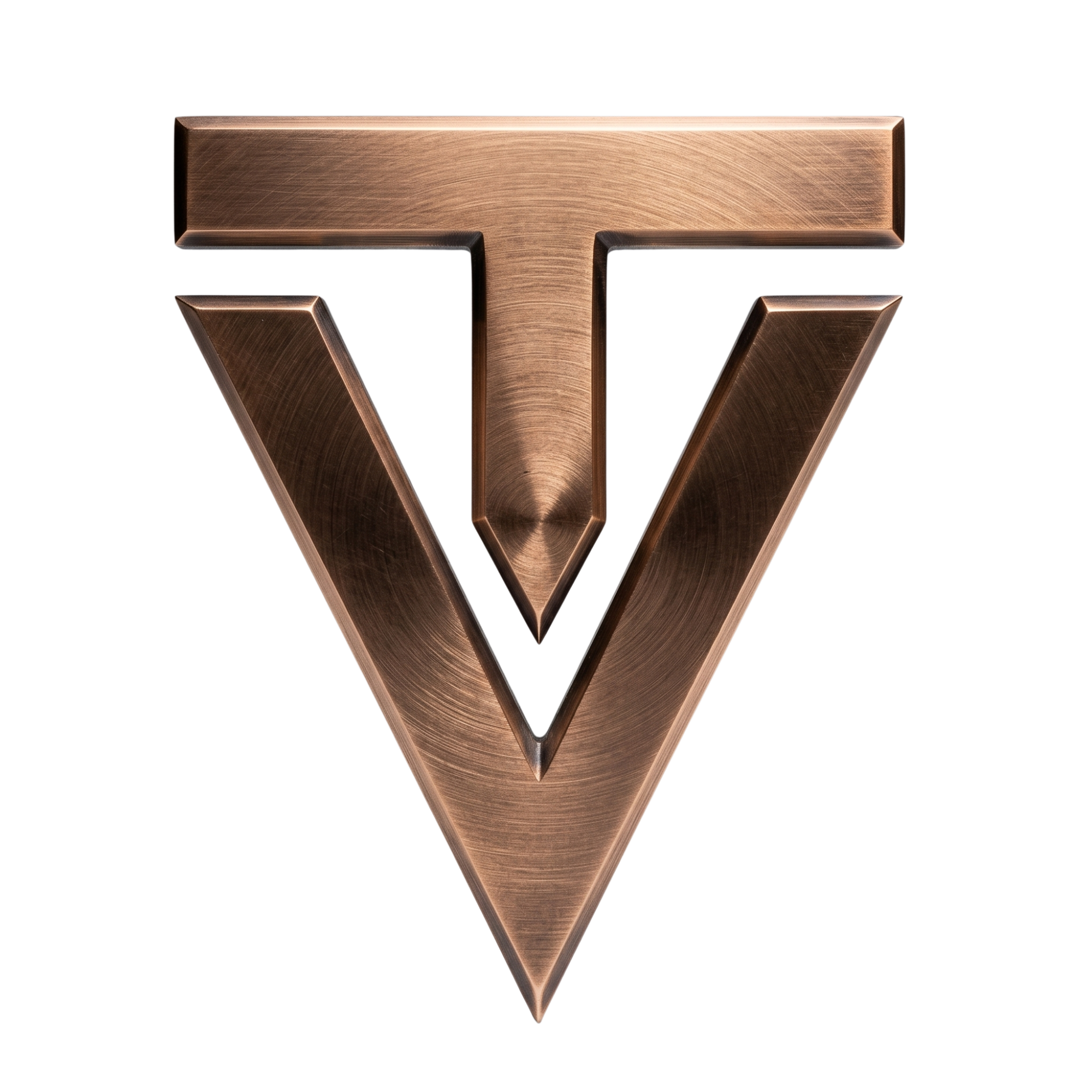 T/V Logo