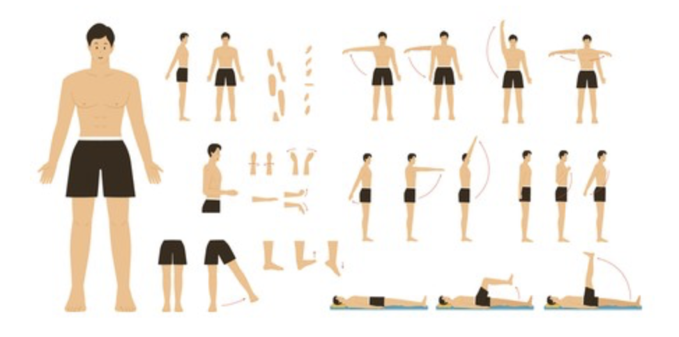 Active Range of Motion