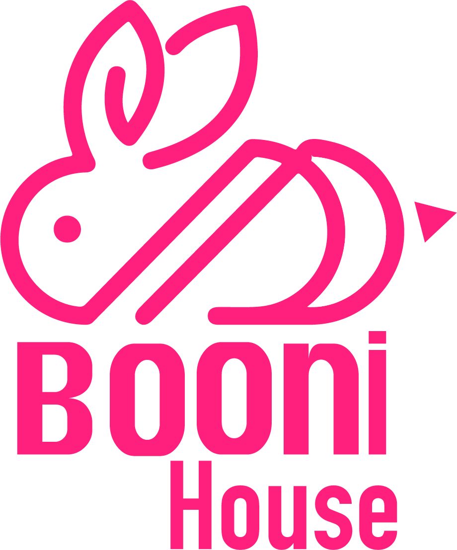 Boom House