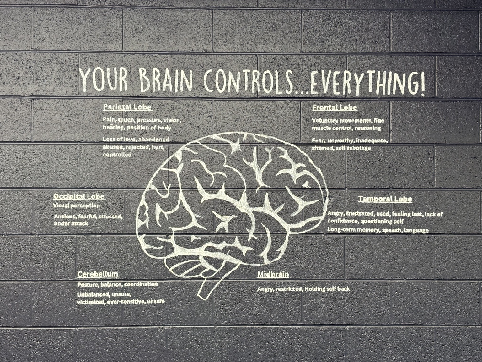Dr. Tony Fry's Inspire Health & Wellness office wall with Your Brain Controls Everything displayed above a brain illustration
