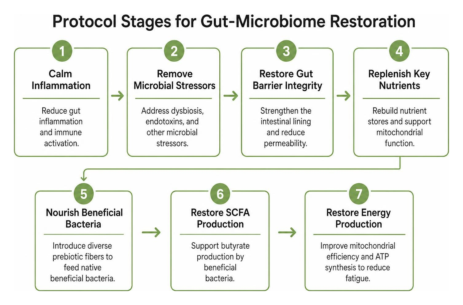 Protocol stages for gut-microbiome restoration