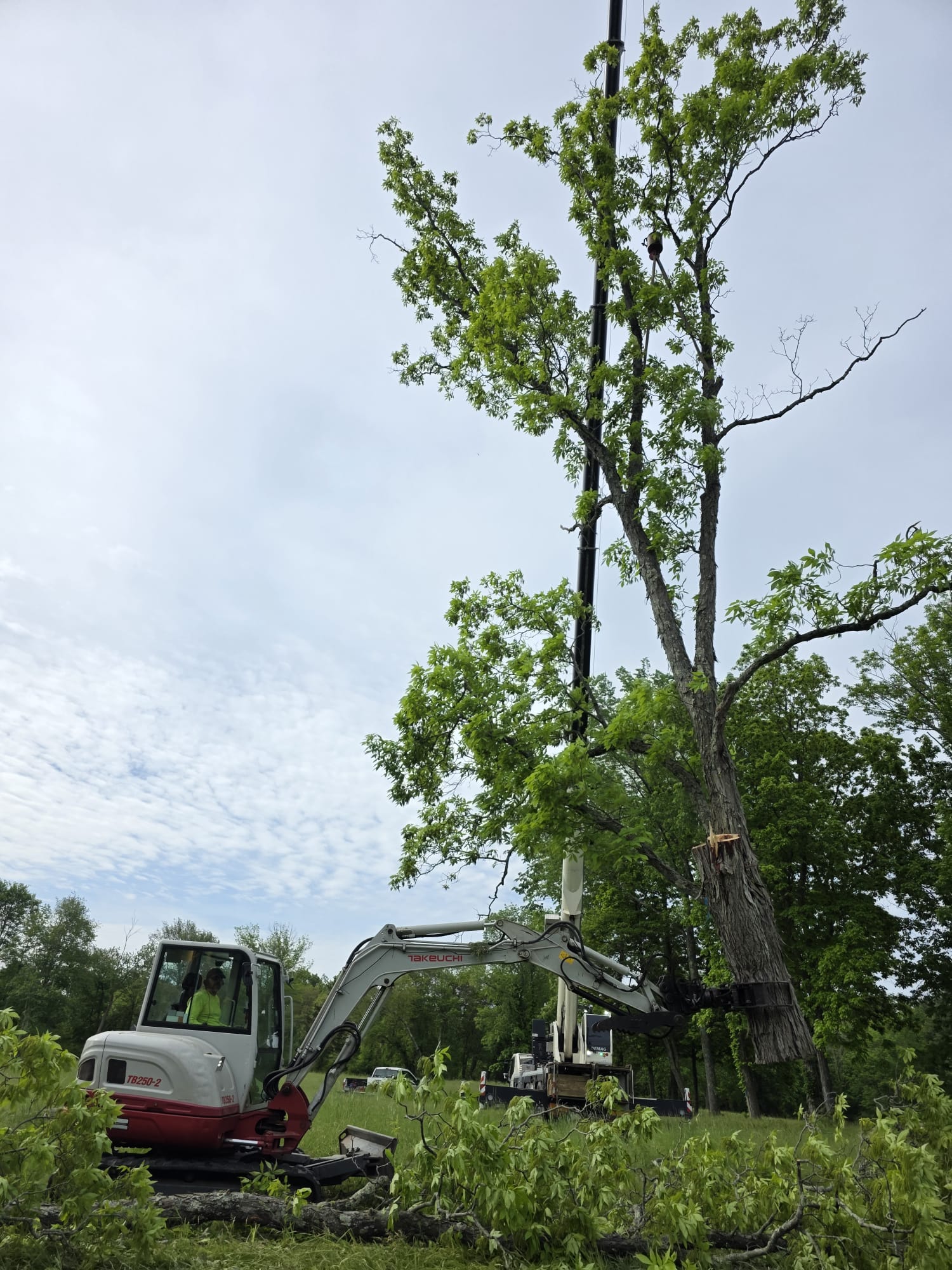 Crane Service