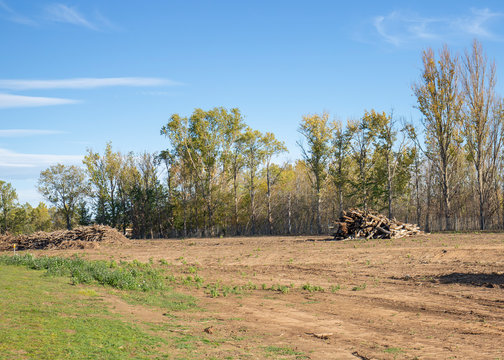 Land Clearing