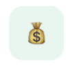 Money Bag