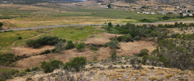 Vegetation Management