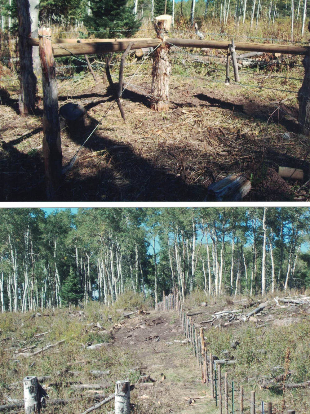 Project transformation 6